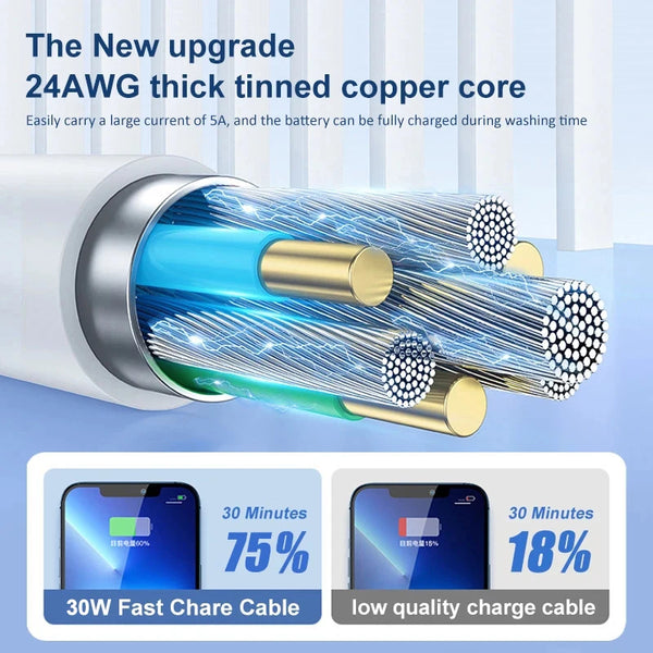 Cable et alimentation 30W pour Apple